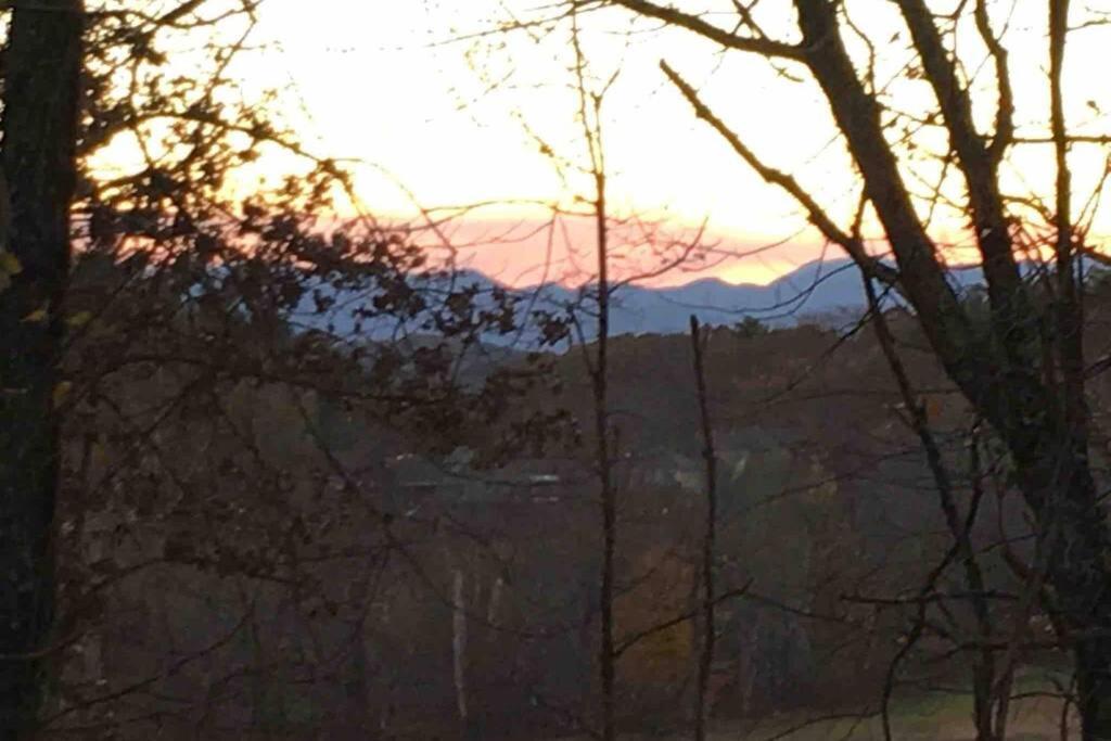 Serenity Views Comfort - Close To City & Parkway! Weaverville Eksteriør bilde