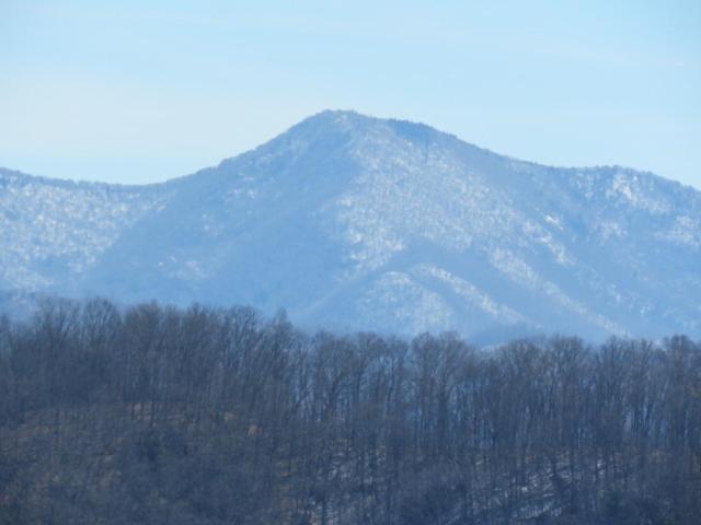 Serenity Views Comfort - Close To City & Parkway! Weaverville Eksteriør bilde