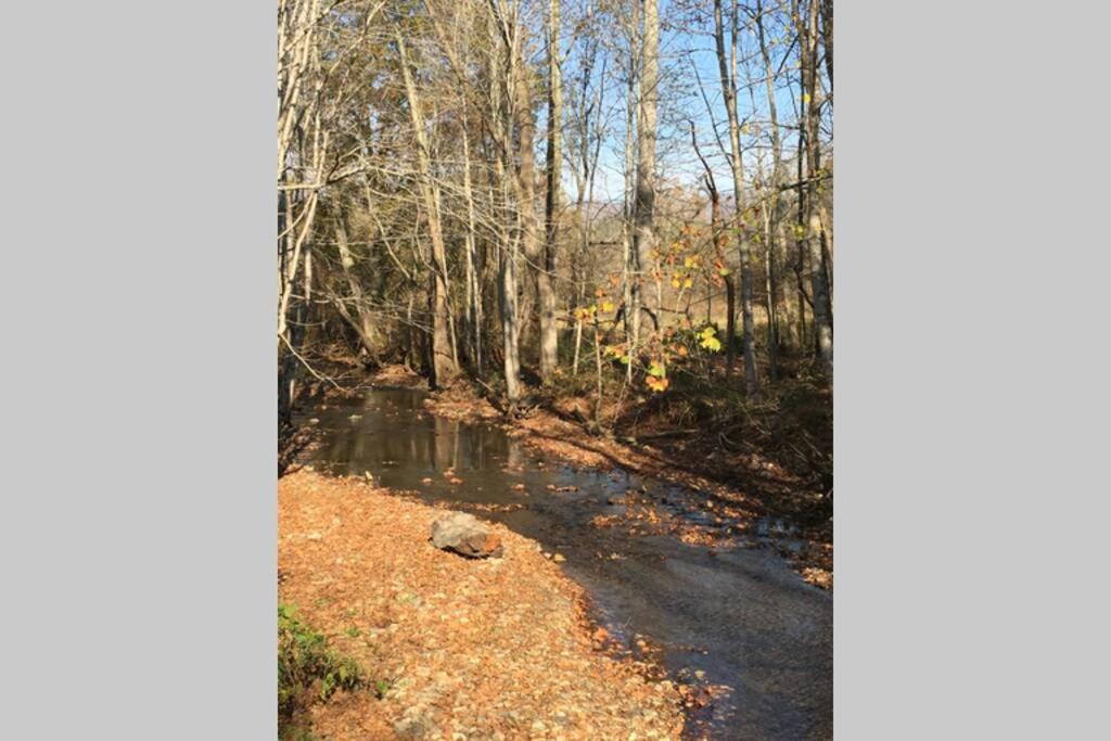 Serenity Views Comfort - Close To City & Parkway! Weaverville Eksteriør bilde
